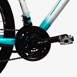 Bicicleta Aspen 2953L R29 21V Dis.alum.19 Shimano Negr-Amar